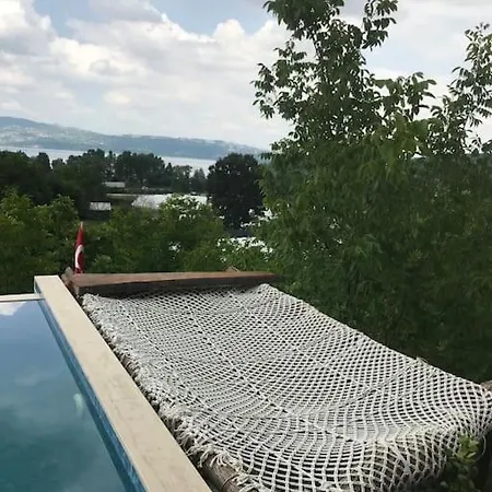 Gunes فيلة ساكاريا